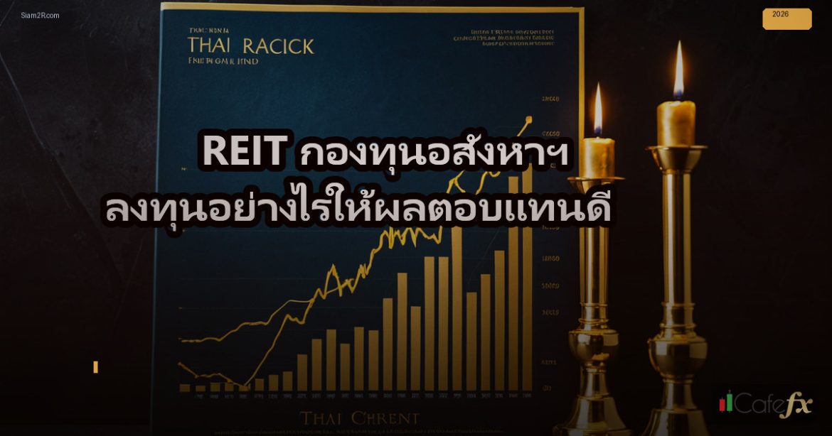 REIT กองทุนอสังหาฯ ลงทุนอย่างไรให้ผลตอบแทนดี