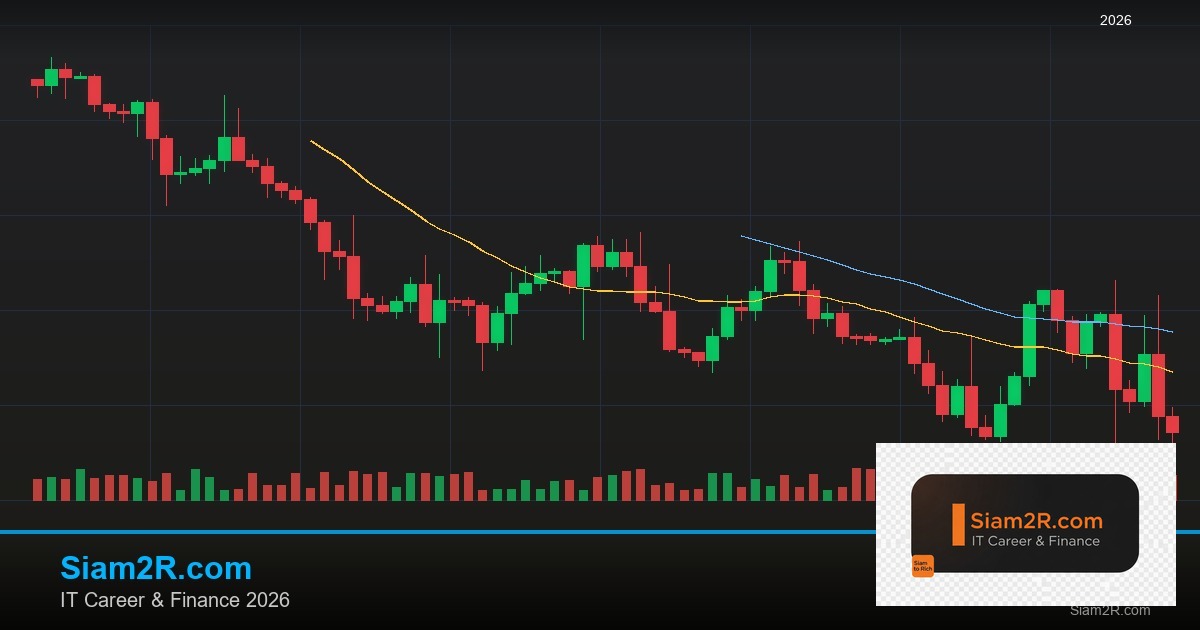 หุ้นมือใหม่ เริ่มลงทุนหุ้นไทยอย่างปลอดภัย รอบ 256