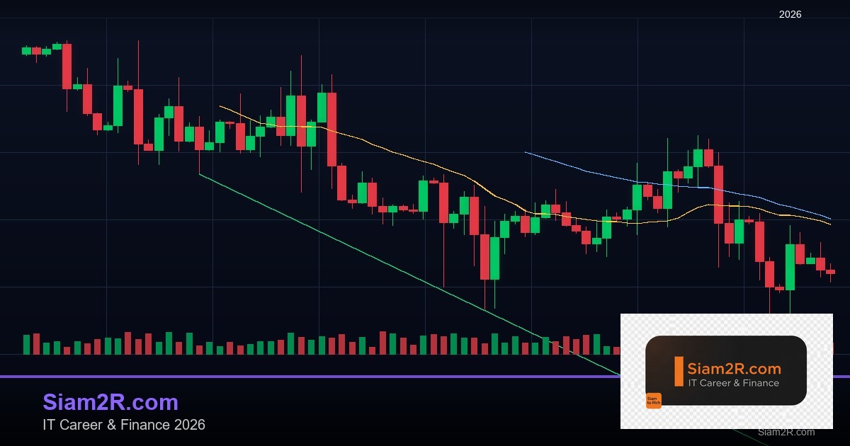 DevOps Career Path เงินเดือนและทักษะ รอบ 166