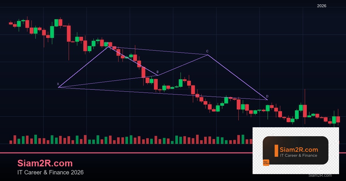 หุ้นมือใหม่ เริ่มลงทุนหุ้นไทยอย่างปลอดภัย รอบ 323