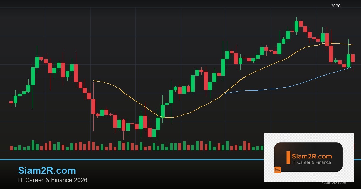 ลดภาษี Freelance เทคนิคประหยัดภาษี รอบ 316
