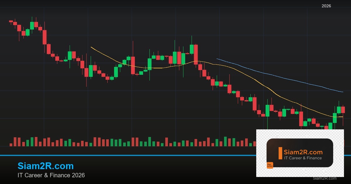 DevOps Career Path เงินเดือนและทักษะ รอบ 141