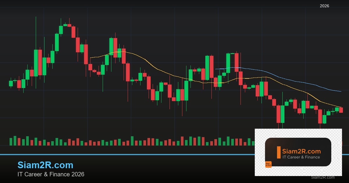 DevOps Career Path เงินเดือนและทักษะ รอบ 48