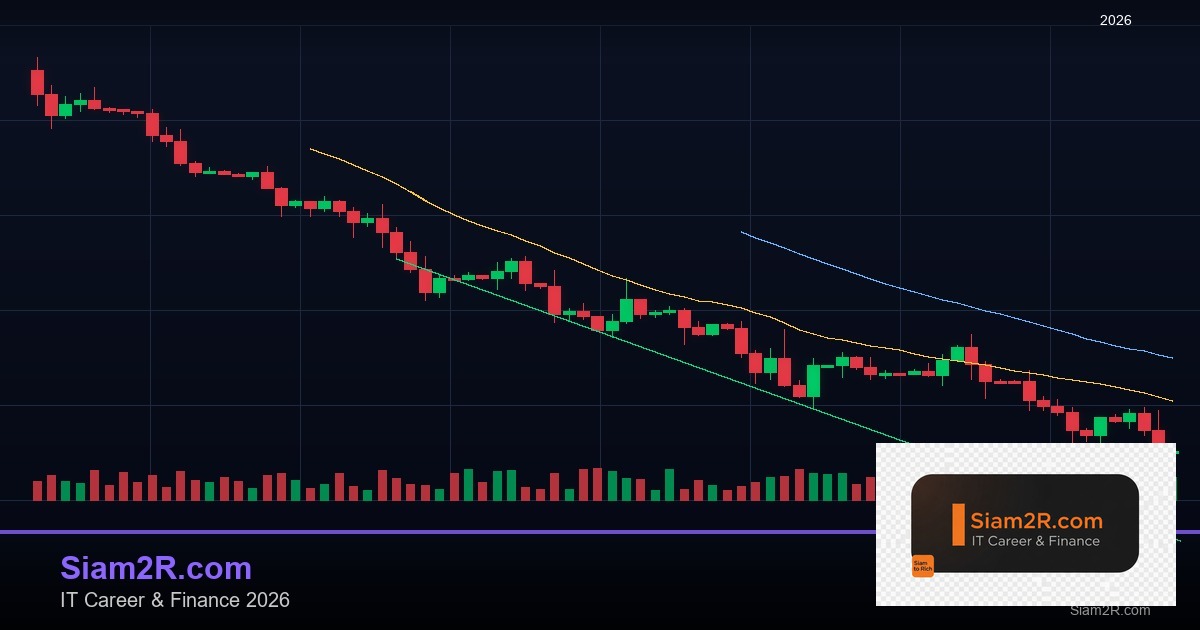 Forex Mindset ทัศนคตินักเทรดสำเร็จ 2569