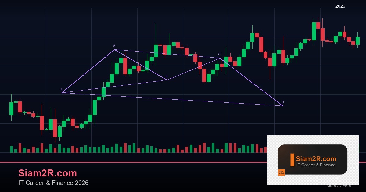 Forex Lot Size: เข้าใจ Lot Standard Mini Micro ก่อนเทรด