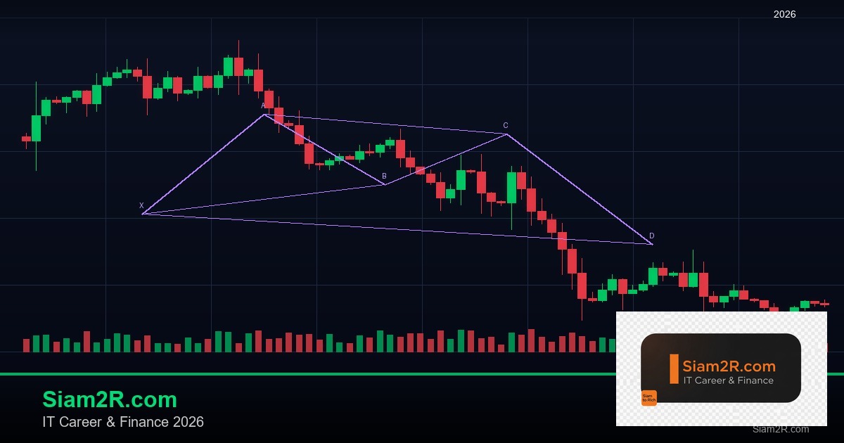 Airdrop Crypto: วิธีล่า Airdrop และหลีกเลี่ยง Scam