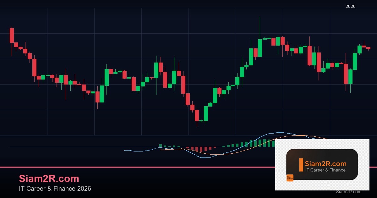 ลดภาษี Freelance เทคนิคประหยัดภาษี รอบ 294