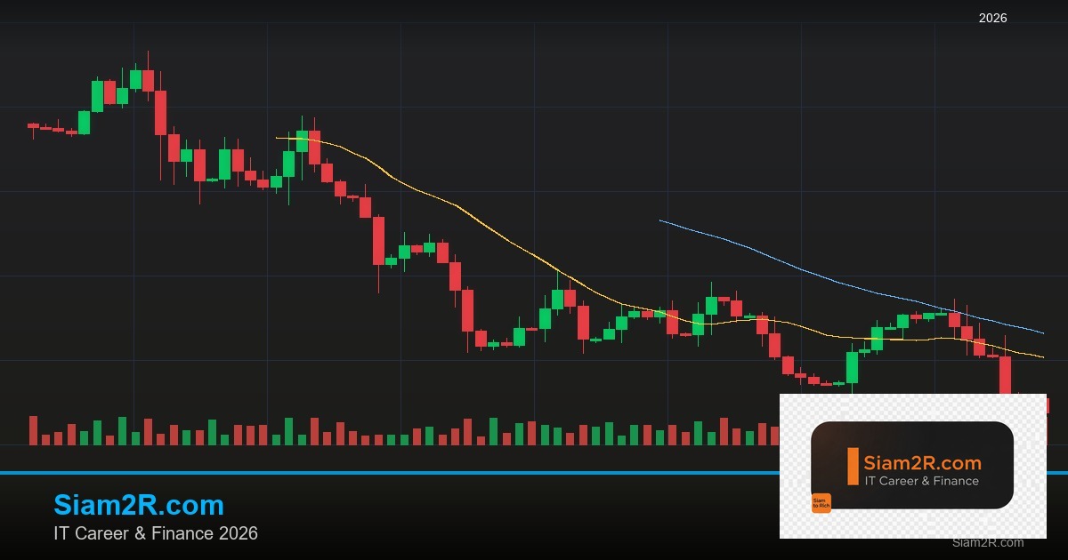 หุ้นมือใหม่ เริ่มลงทุนหุ้นไทยอย่างปลอดภัย รอบ 124