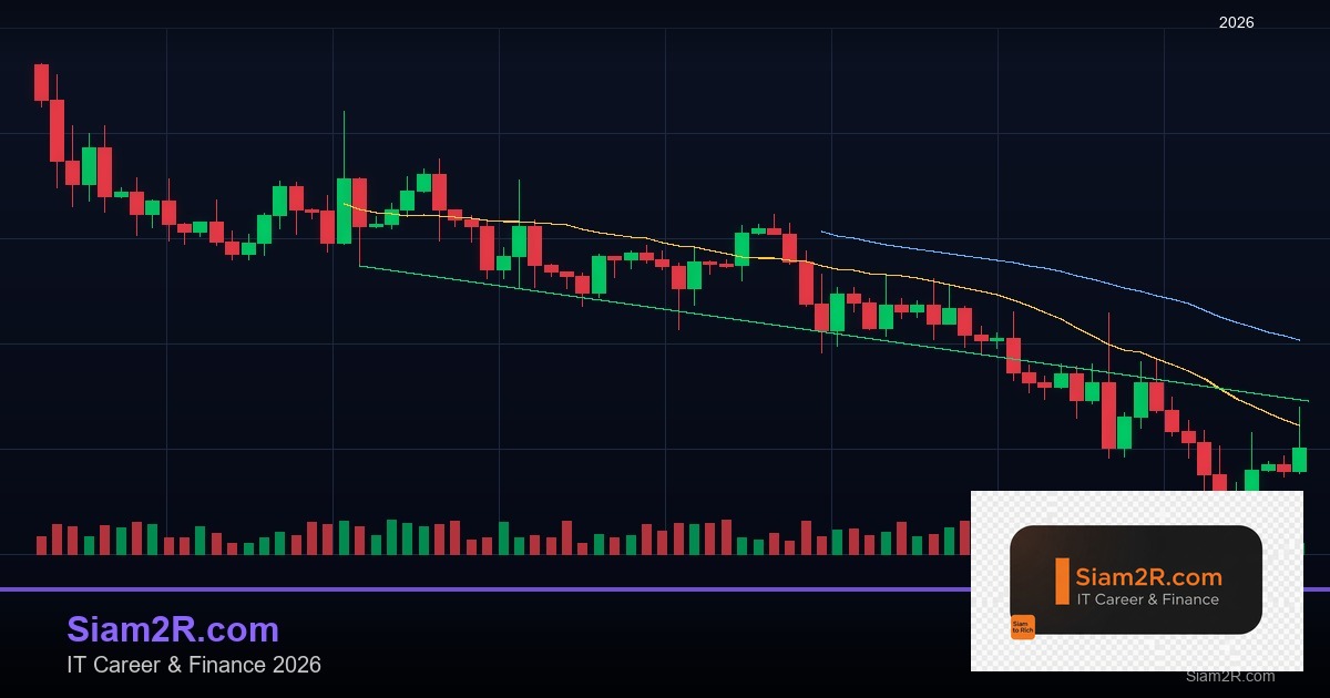 หุ้นมือใหม่ เริ่มลงทุนหุ้นไทยอย่างปลอดภัย รอบ 216