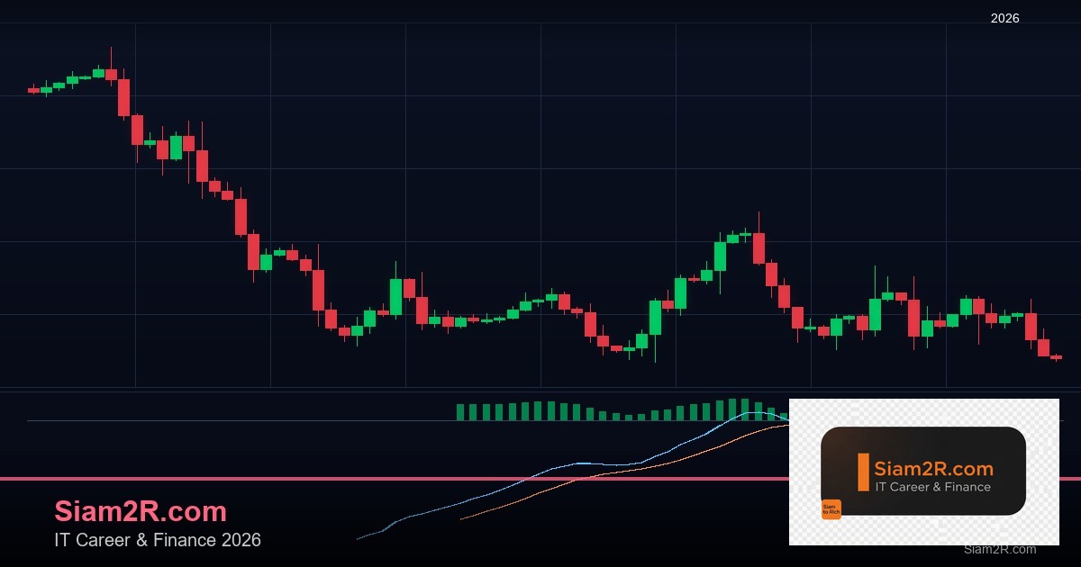 ลดภาษี Freelance เทคนิคประหยัดภาษี รอบ 11
