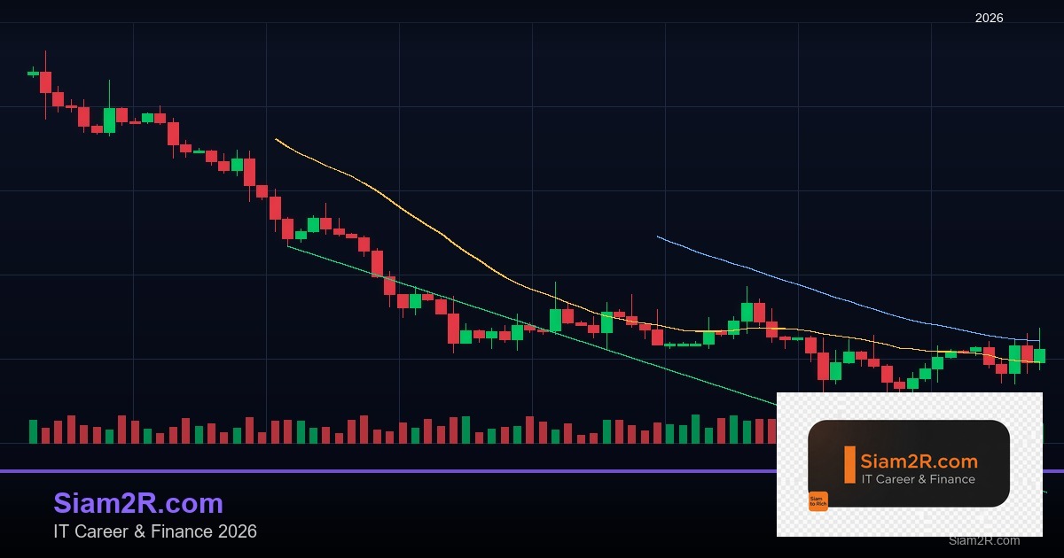 ลดภาษี Freelance เทคนิคประหยัดภาษี รอบ 241