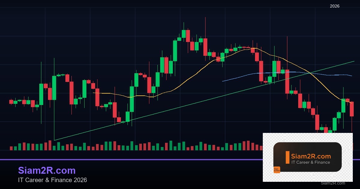 DevOps Career Path เงินเดือนและทักษะ รอบ 142