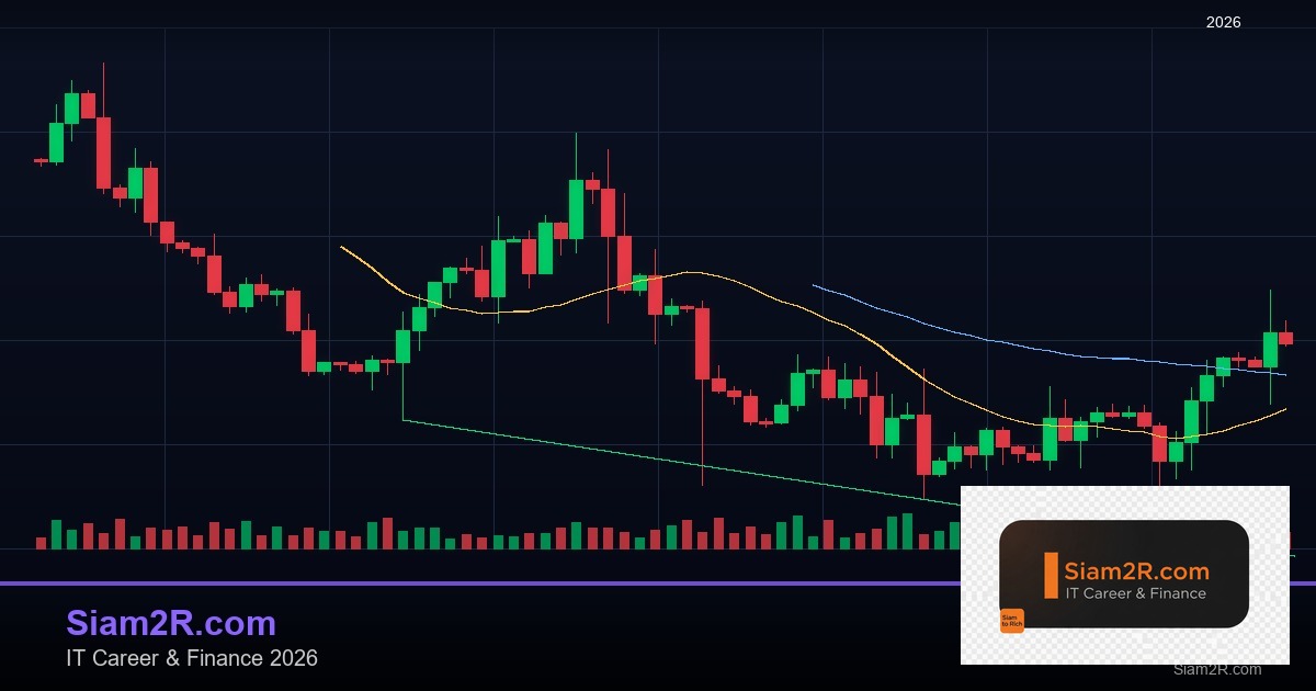 ลดภาษี Freelance เทคนิคประหยัดภาษี รอบ 208