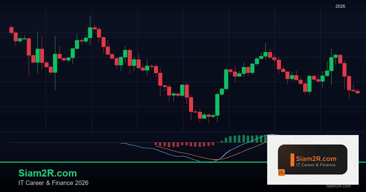 ลดภาษี Freelance เทคนิคประหยัดภาษี รอบ 288