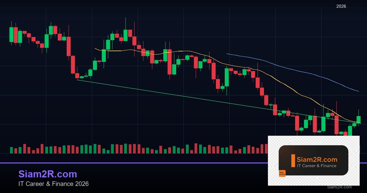 DevOps Career Path เงินเดือนและทักษะ รอบ 221