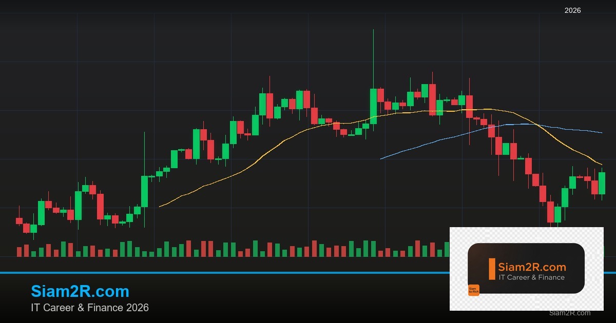ลดภาษี Freelance เทคนิคประหยัดภาษี รอบ 194