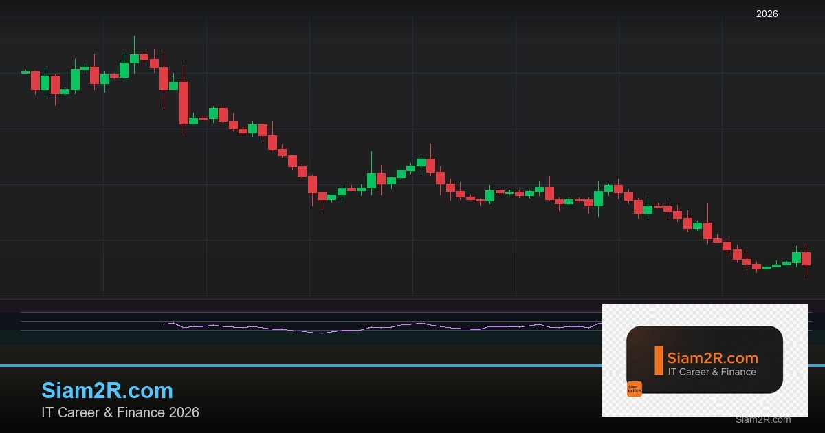 หุ้นมือใหม่ เริ่มลงทุนหุ้นไทยอย่างปลอดภัย รอบ 258