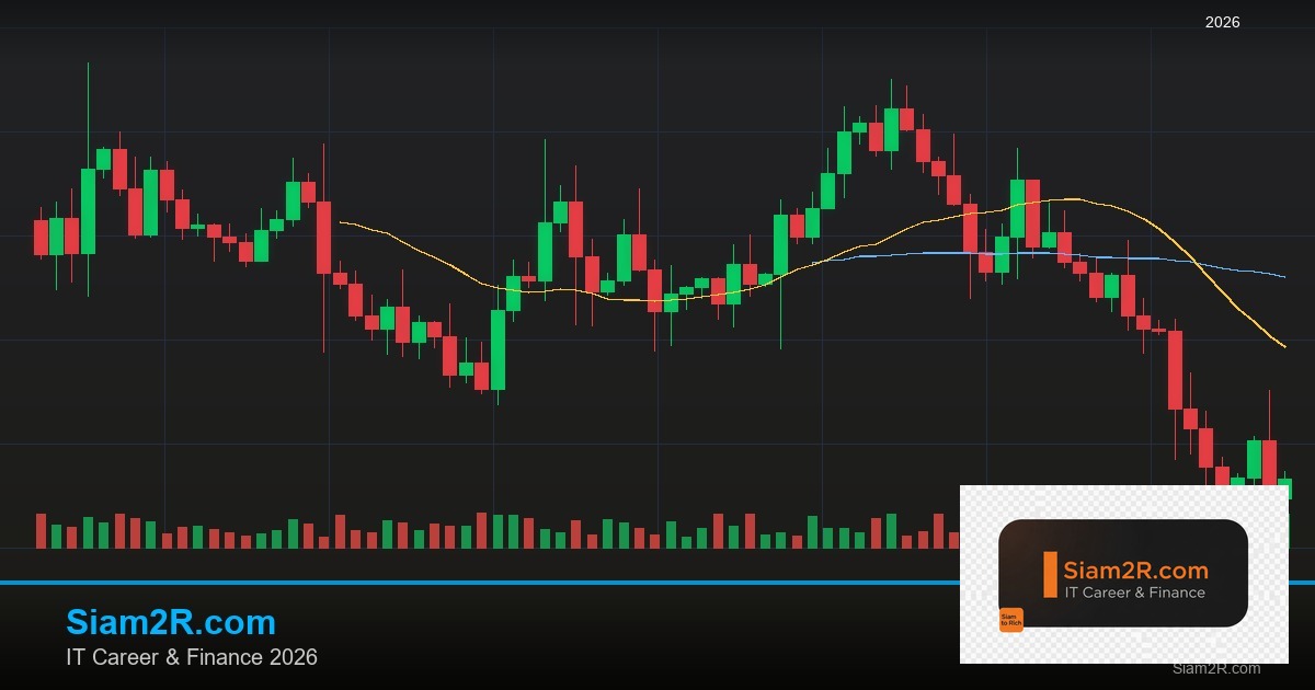หุ้นมือใหม่ เริ่มลงทุนหุ้นไทยอย่างปลอดภัย รอบ 291