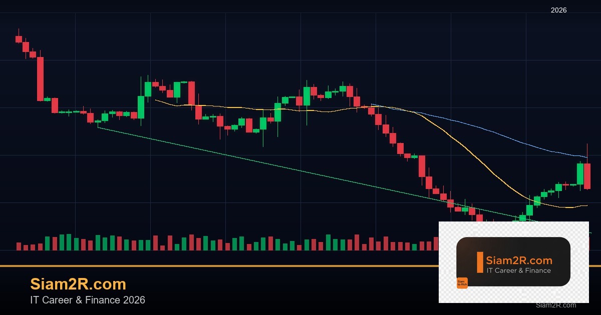 Forex Volatility Index (VIX): วิธีใช้ดัชนีความกลัววัดจังหวะตลาด