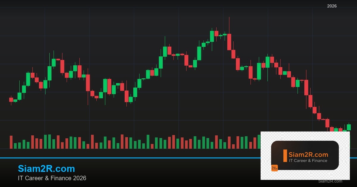 ลดภาษี Freelance เทคนิคประหยัดภาษี รอบ 157