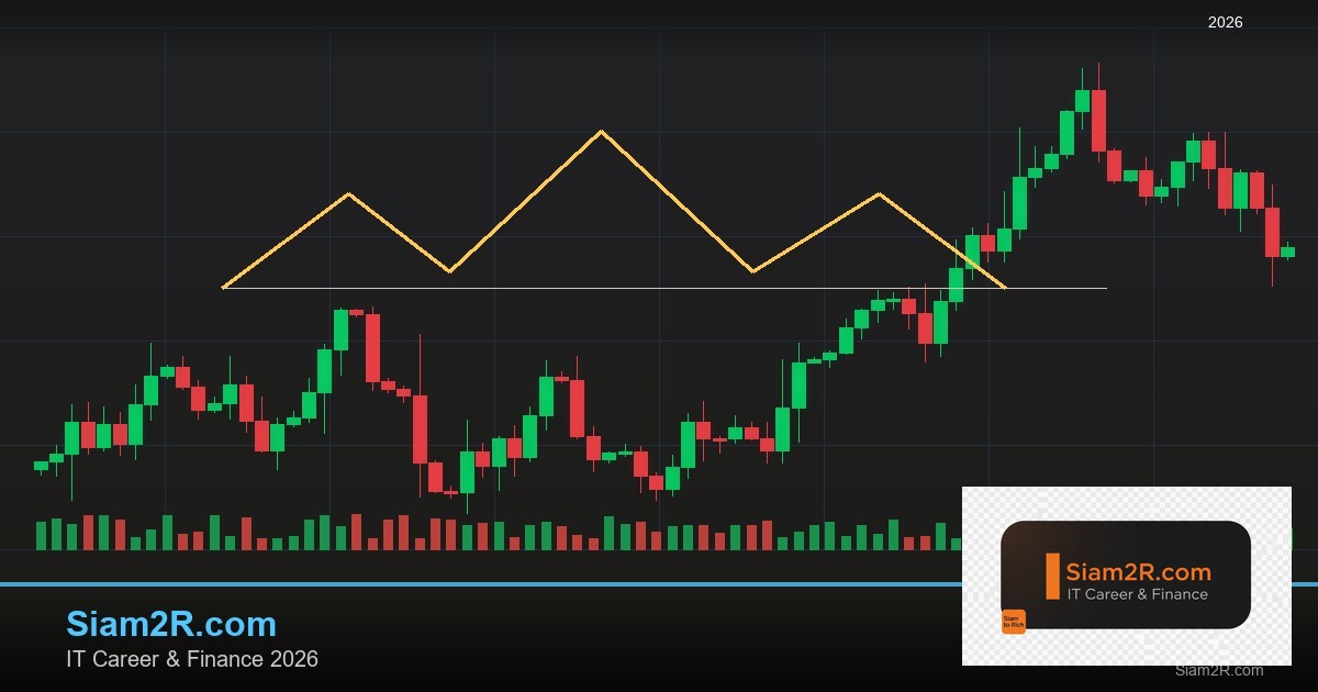 ลดภาษี Freelance เทคนิคประหยัดภาษี รอบ 203