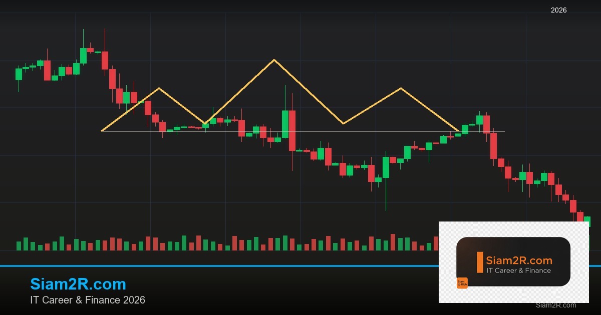 ลดภาษี Freelance เทคนิคประหยัดภาษี รอบ 244