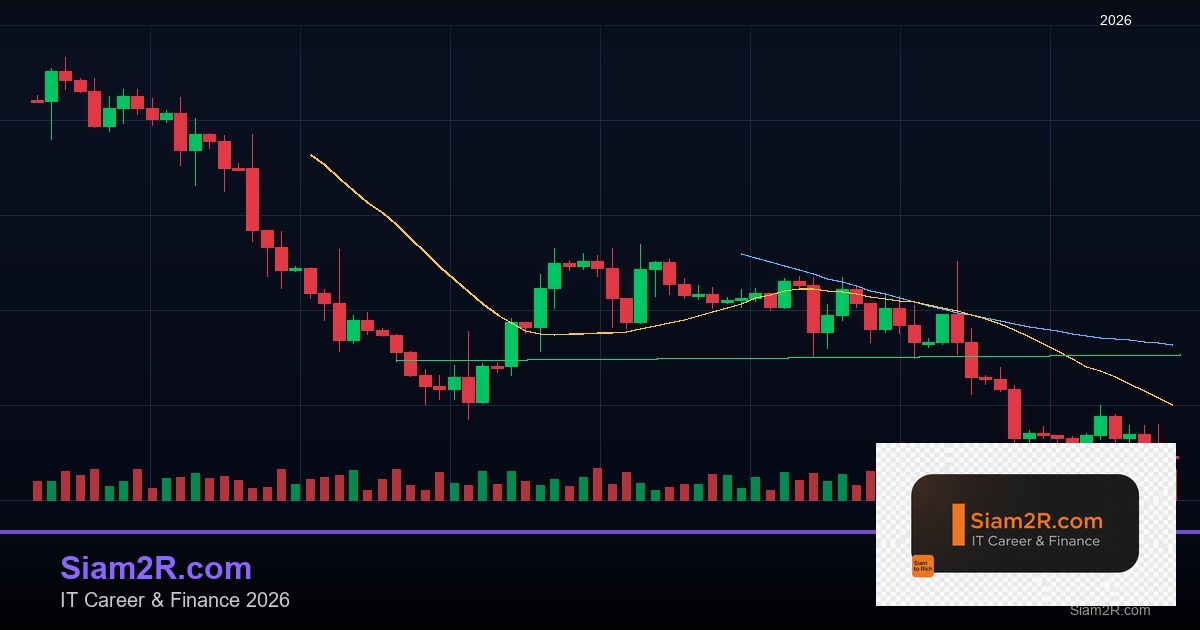 MQL5 Wizard สร้าง EA ไม่ต้องเขียนโค้ด คู่มือฉบับสมบูรณ์