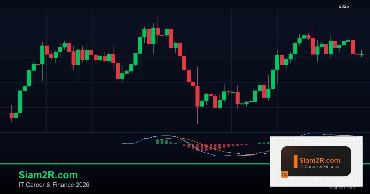 ลดภาษี Freelance เทคนิคประหยัดภาษี รอบ 232