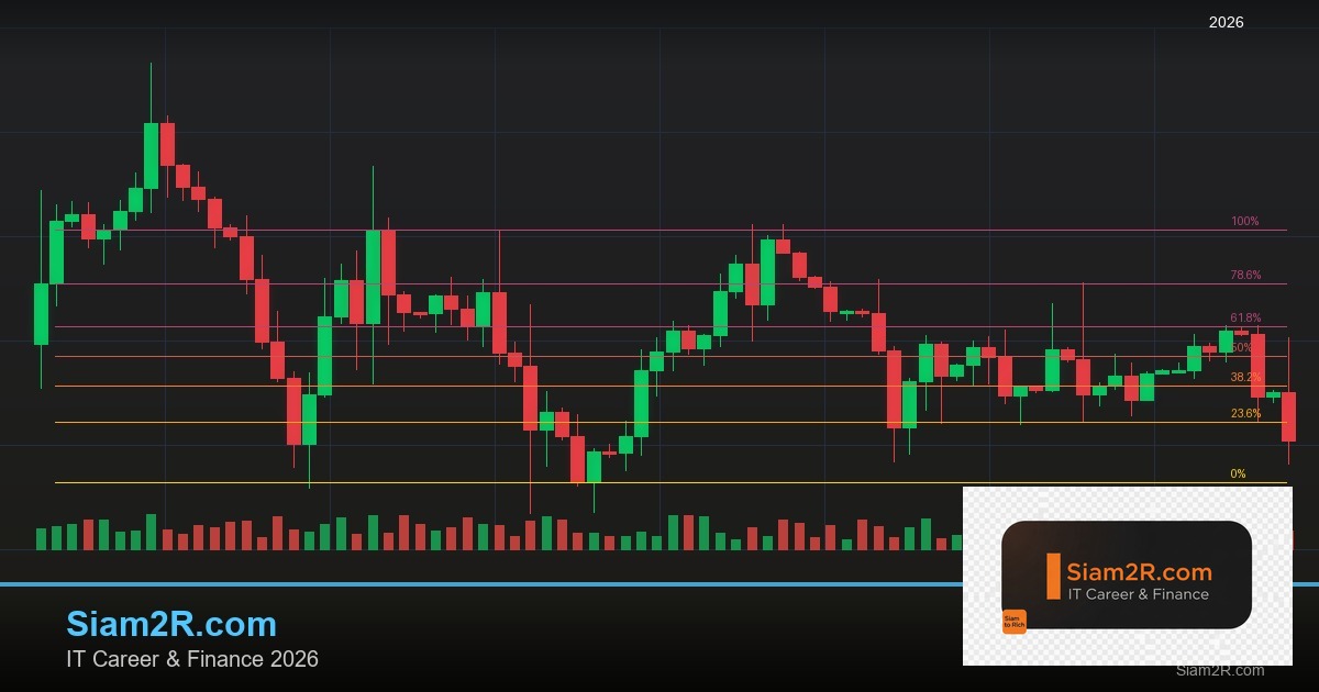 ลดภาษี Freelance เทคนิคประหยัดภาษี รอบ 196
