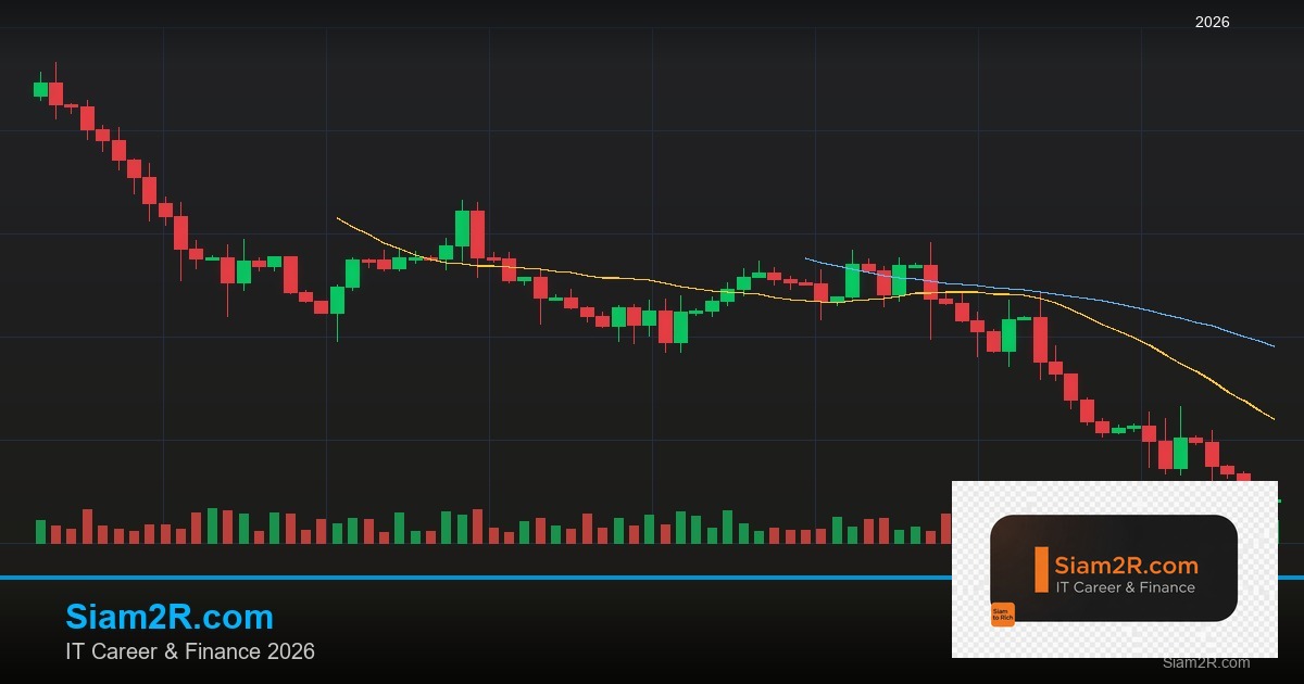 หุ้นมือใหม่ เริ่มลงทุนหุ้นไทยอย่างปลอดภัย รอบ 333