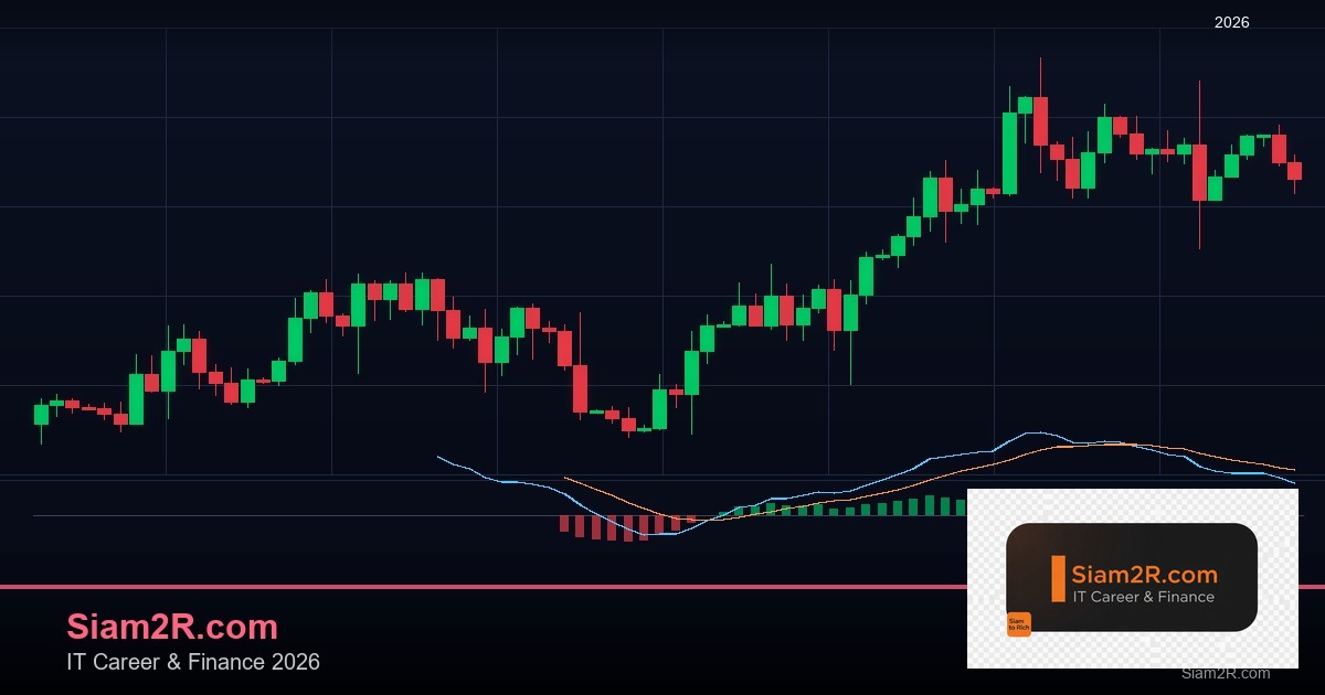 หุ้นมือใหม่ เริ่มลงทุนหุ้นไทยอย่างปลอดภัย รอบ 167
