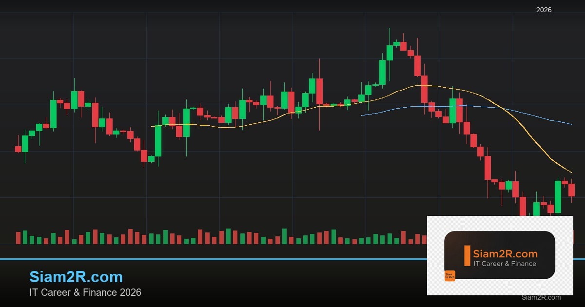Position Trading Forex กลยุทธ์ถือยาวทำกำไร