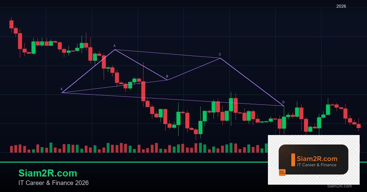 ลดภาษี Freelance เทคนิคประหยัดภาษี รอบ 231