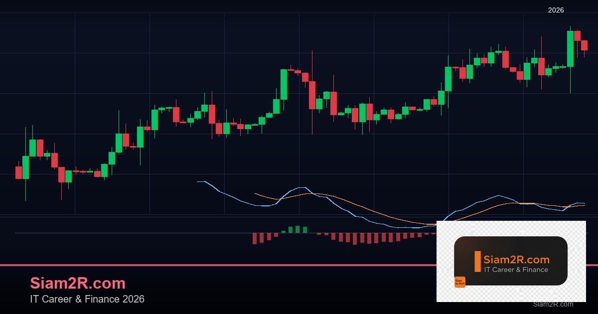ลดภาษี Freelance เทคนิคประหยัดภาษี รอบ 317