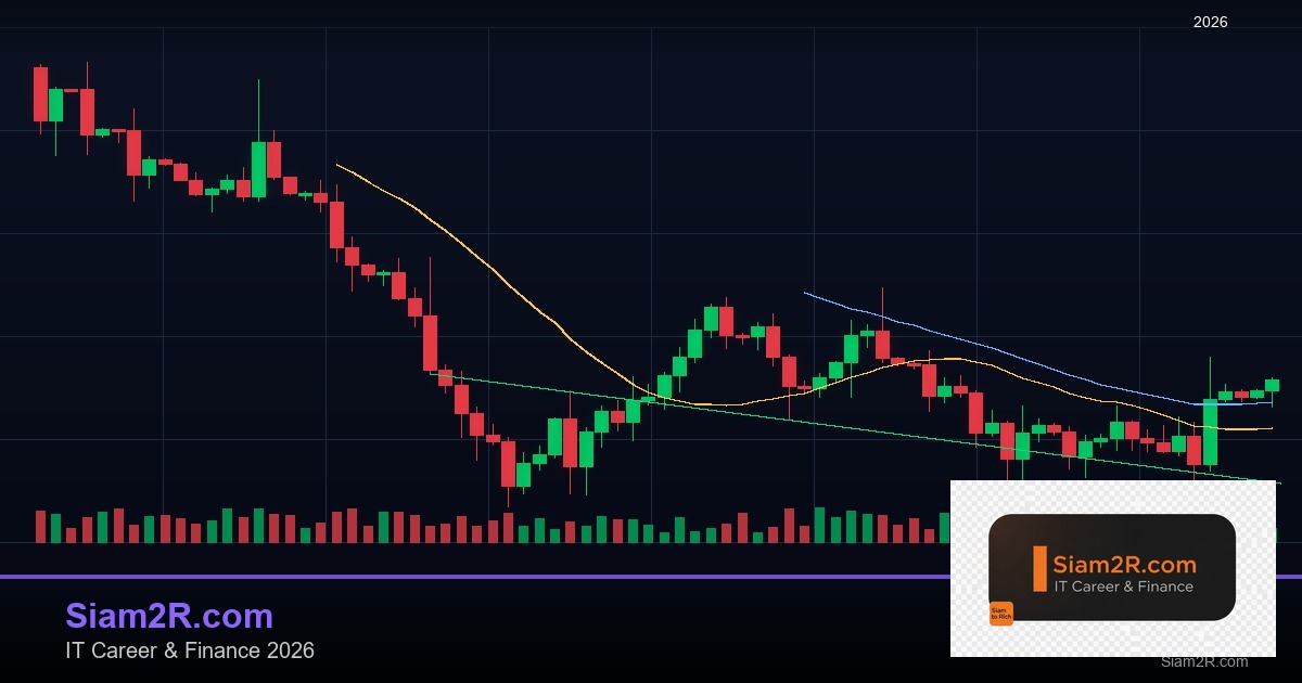 ลดภาษี Freelance เทคนิคประหยัดภาษี รอบ 40