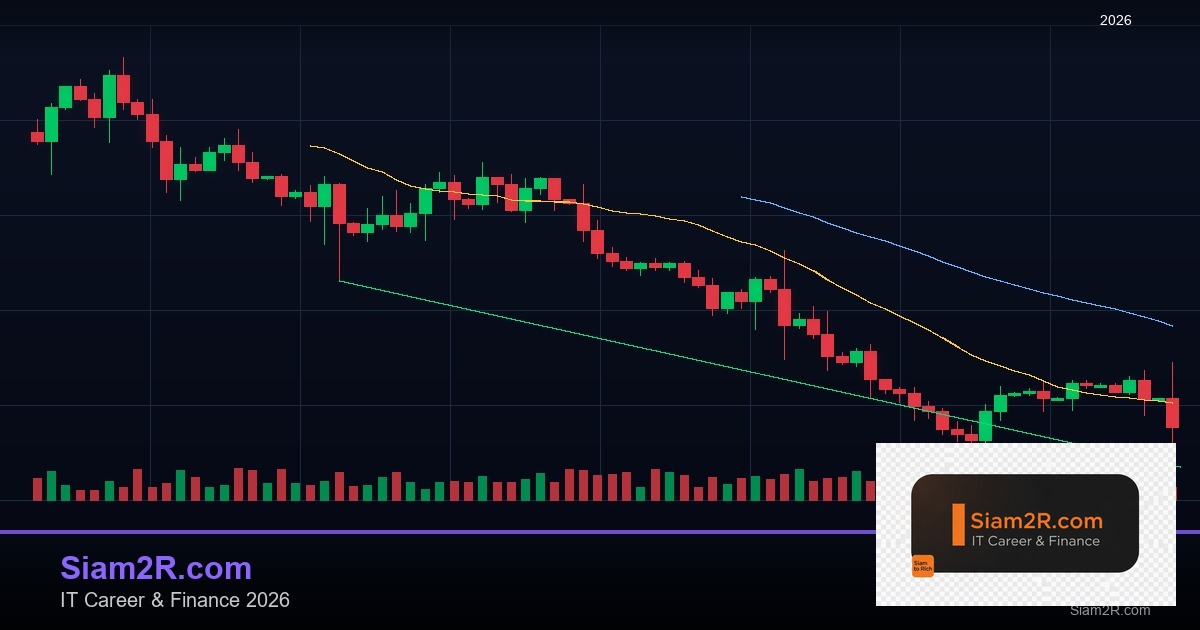 DevOps Career Path เงินเดือนและทักษะ รอบ 168