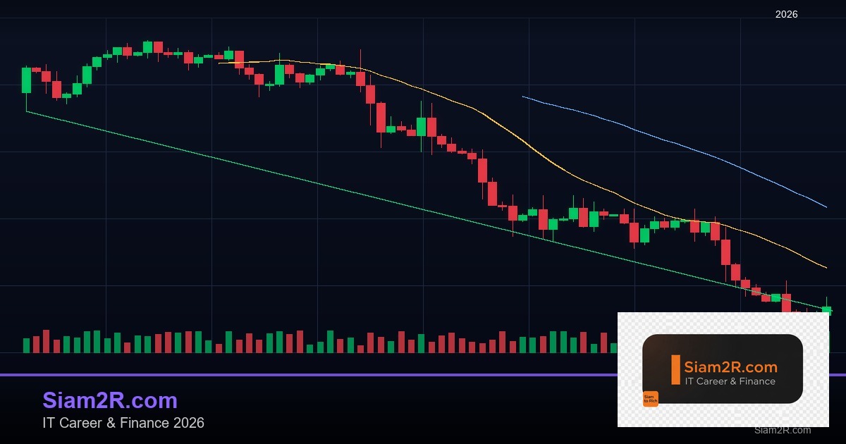 DevOps Career Path เงินเดือนและทักษะ รอบ 89