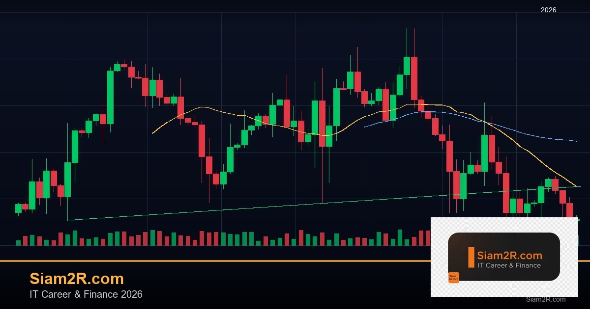 ลดภาษี Freelance เทคนิคประหยัดภาษี รอบ 9