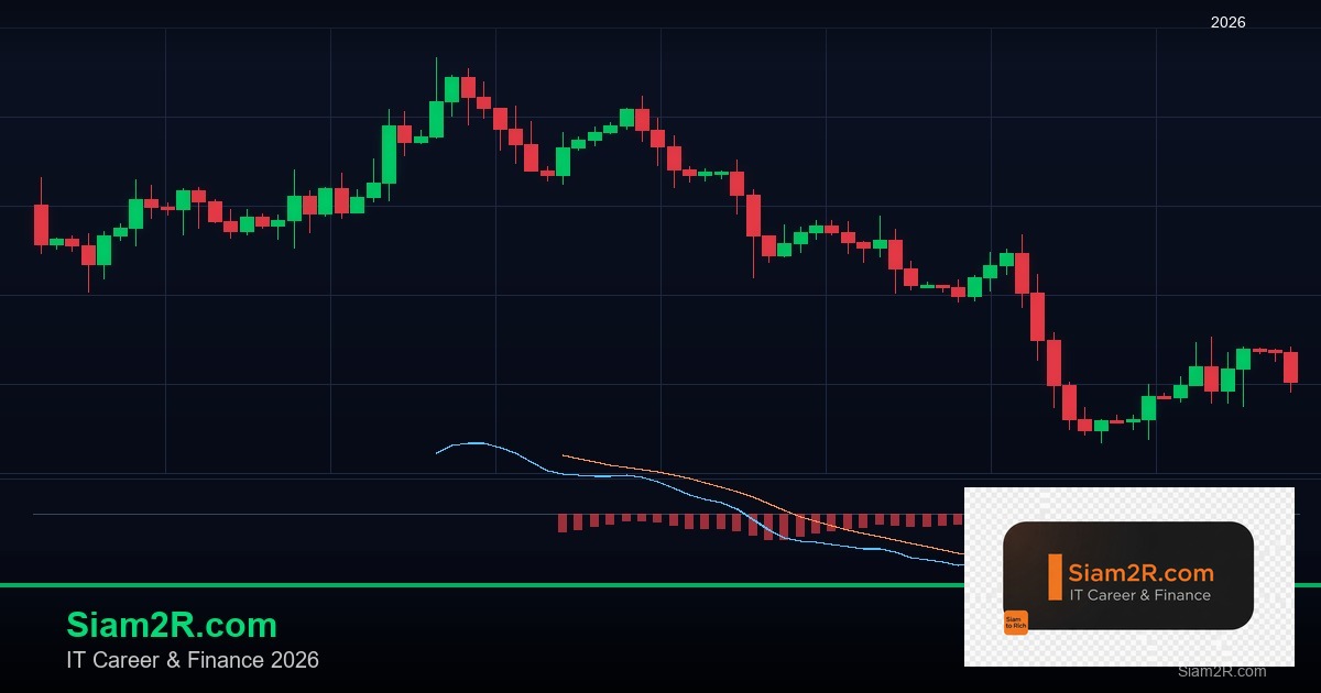 ลดภาษี Freelance เทคนิคประหยัดภาษี รอบ 307