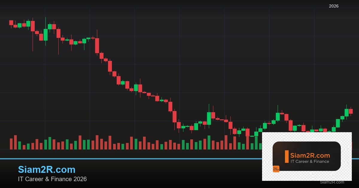 หุ้นมือใหม่ เริ่มลงทุนหุ้นไทยอย่างปลอดภัย รอบ 270