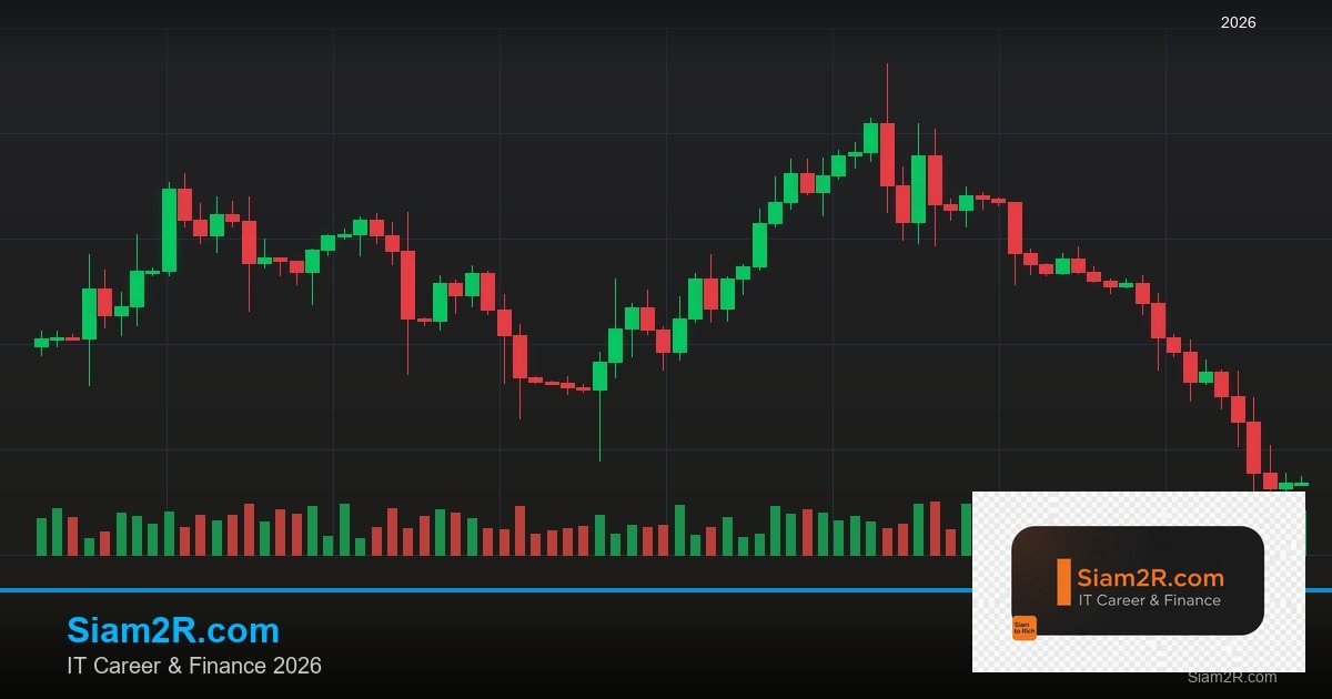 หุ้นมือใหม่ เริ่มลงทุนหุ้นไทยอย่างปลอดภัย รอบ 217