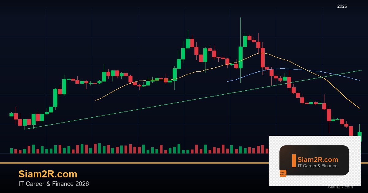 ลดภาษี Freelance เทคนิคประหยัดภาษี รอบ 104