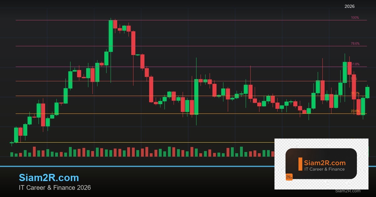 ลดภาษี Freelance เทคนิคประหยัดภาษี รอบ 296