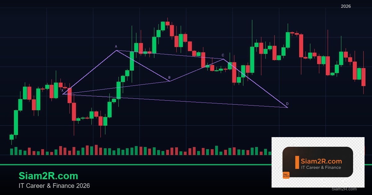 หุ้นมือใหม่ เริ่มลงทุนหุ้นไทยอย่างปลอดภัย รอบ 241
