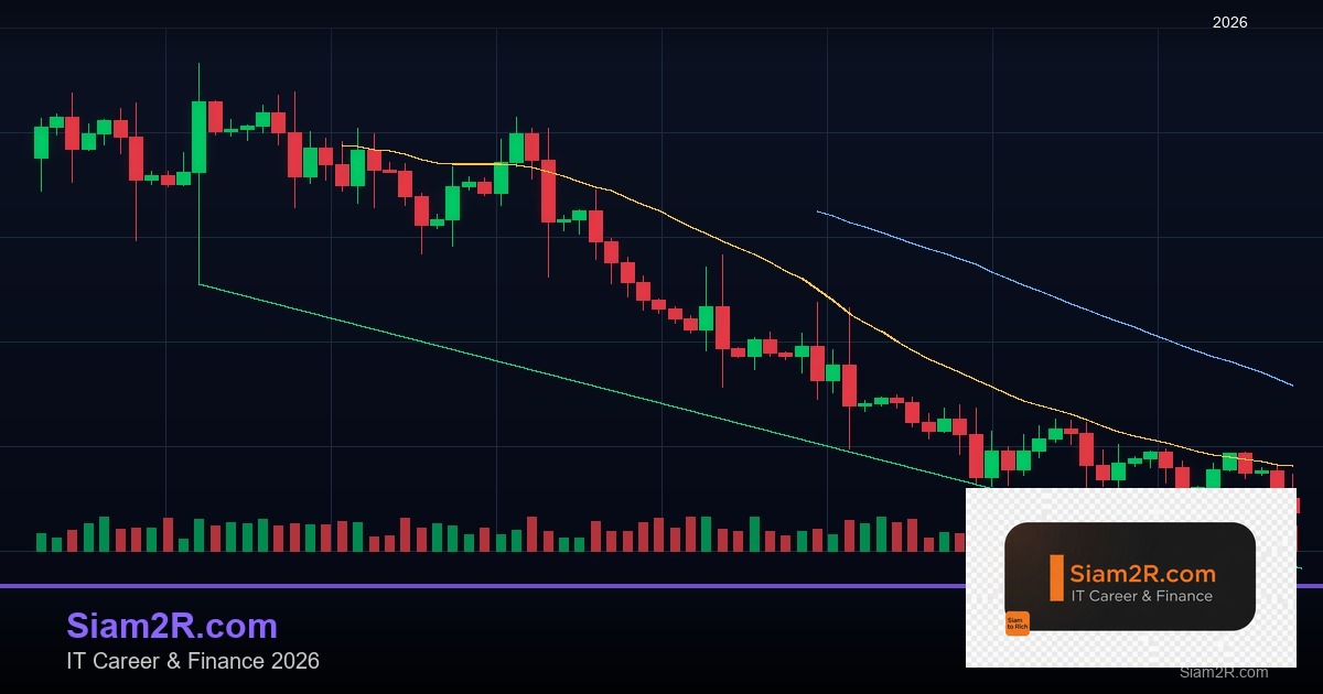DevOps Career Path เงินเดือนและทักษะ รอบ 39