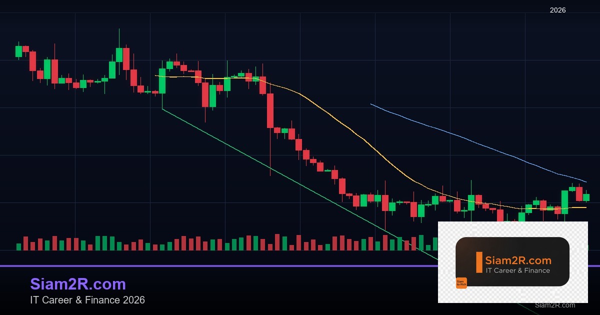 ลดภาษี Freelance เทคนิคประหยัดภาษี รอบ 276