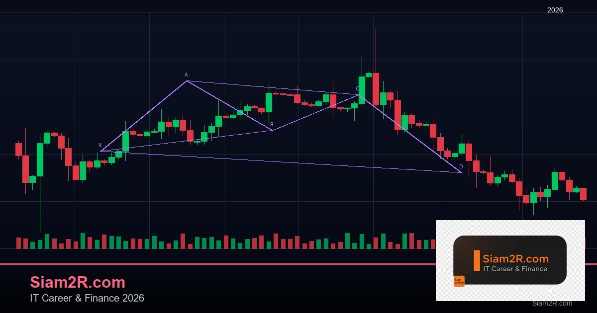 เทรด Forex ให้รวยเร็ว เทคนิคทำเงินเร็วที่สุด 2569