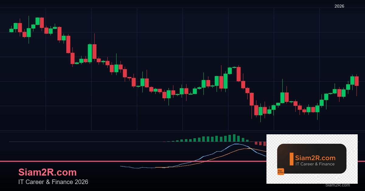 ลดภาษี Freelance เทคนิคประหยัดภาษี รอบ 251