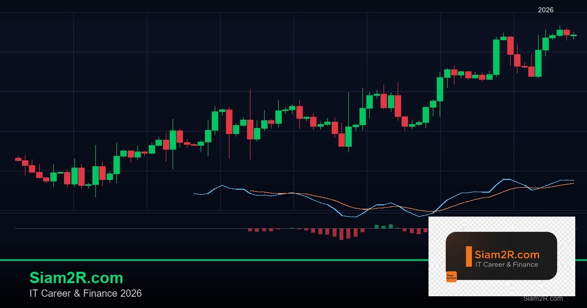 หุ้นมือใหม่ เริ่มลงทุนหุ้นไทยอย่างปลอดภัย รอบ 255
