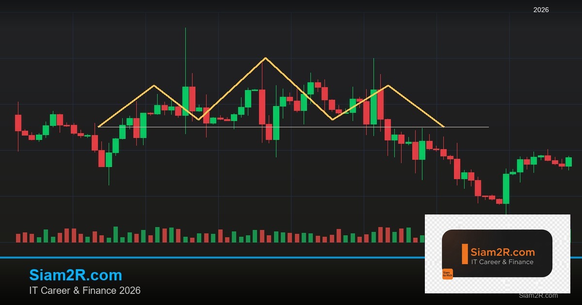 หุ้นมือใหม่ เริ่มลงทุนหุ้นไทยอย่างปลอดภัย รอบ 272